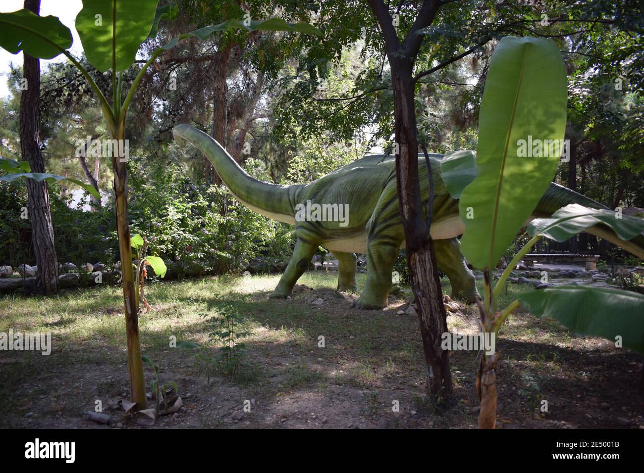 Dinosaur statue in the forest park in nature for background. Omeisaurus-Middle Jurassic, 171-161 million years ago. Dinopark in Turkey, Goynuk. Stock Photo