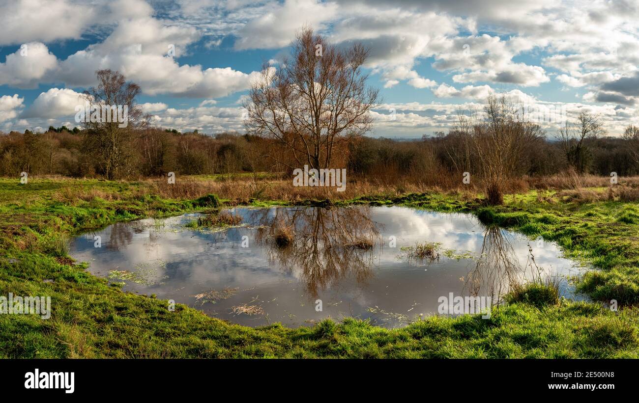 Landscape with a pond among fields of Bentley Priory Nature Reserve, Stanmore, England Stock Photo