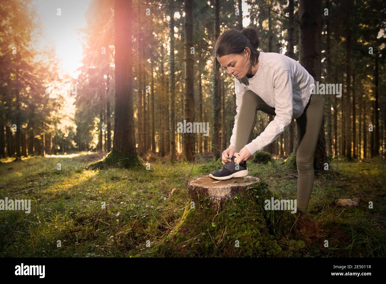Female runner tying her shoelaces, ready to run through a forest, early moring run. Stock Photo