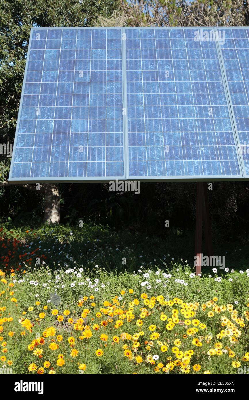 Solar Pv Panels In The Sunshine Stock Photo Alamy