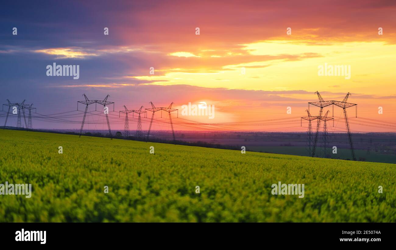 High voltage electric tower on sunset time on field of rape Stock Photo