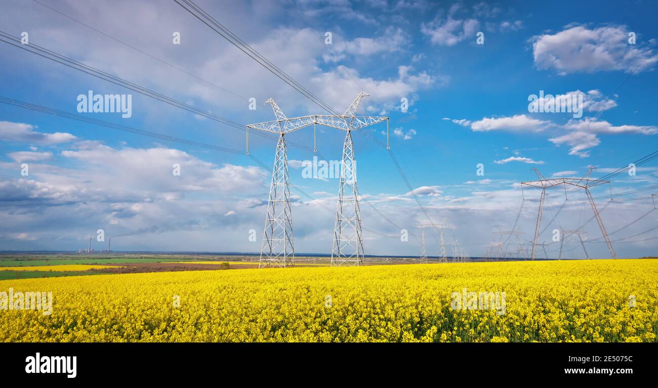 High voltage electric tower on field of rape Stock Photo