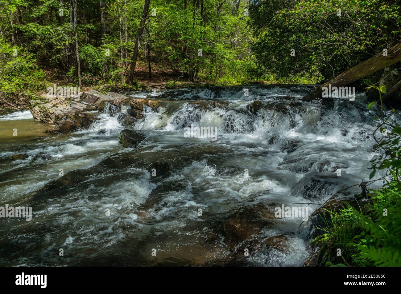 Rushing whitewater rapids flowing fast through the rocks and boulders downstream in the forest on a sunny day in springtime Stock Photo