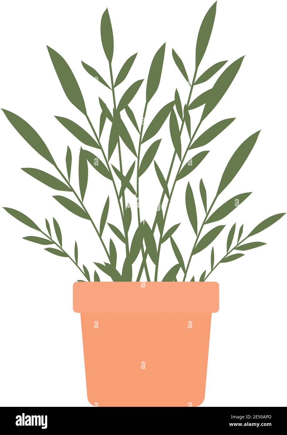 plant inside a pot with a orange color Stock Vector Image & Art - Alamy