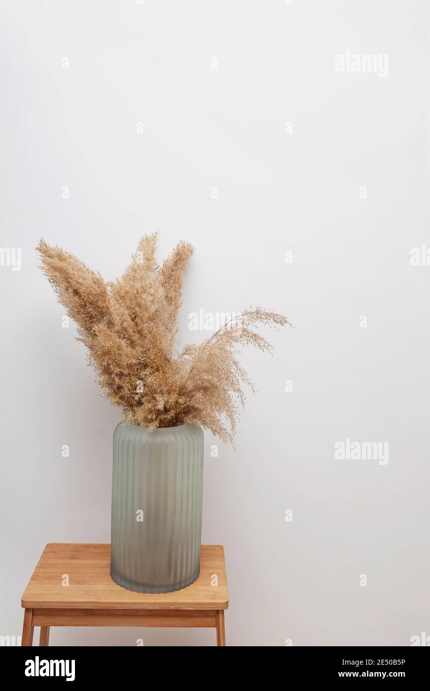 Pampas grass in opaque glass vase Stock Photo Alamy