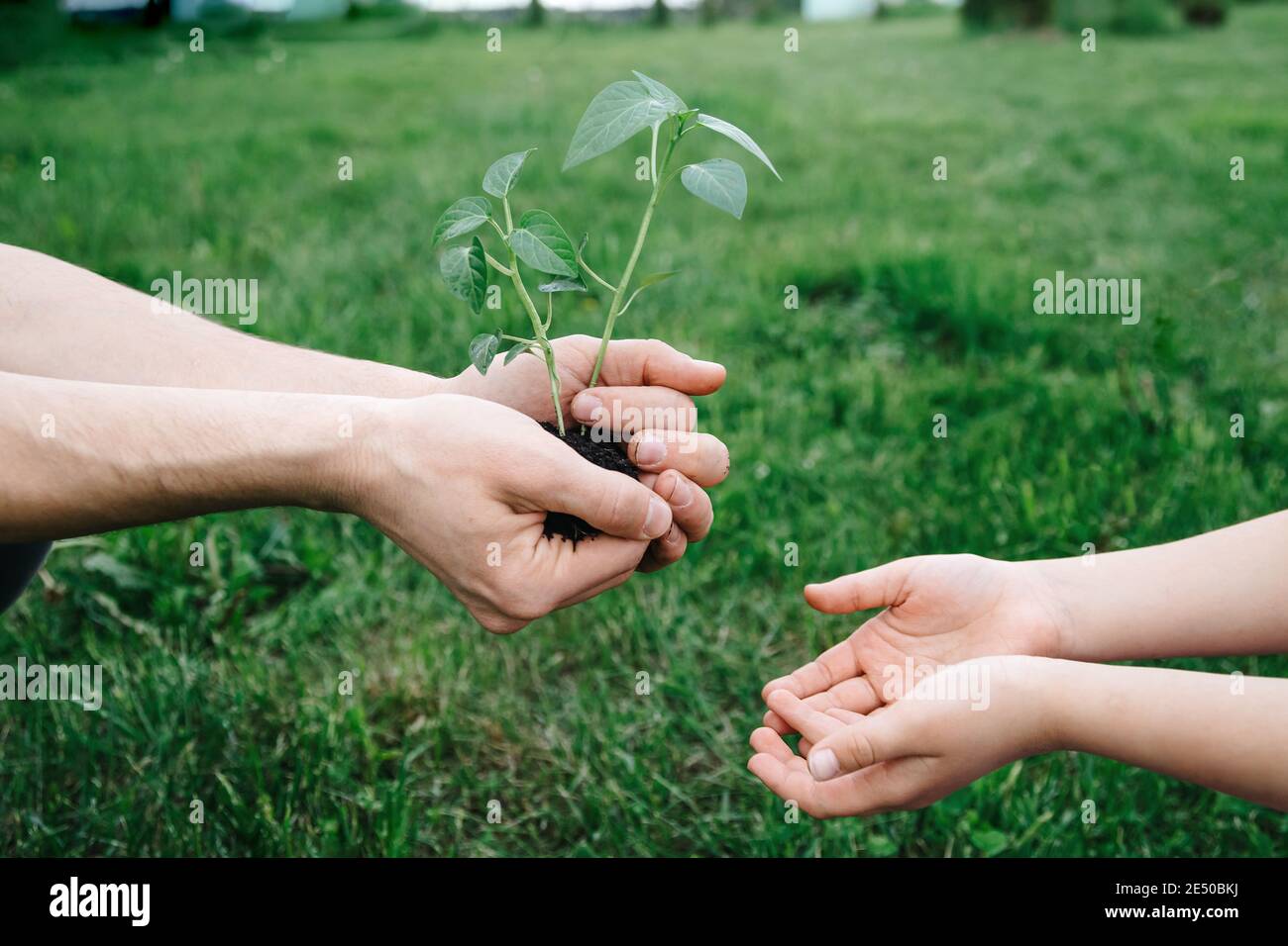 New life, concern for the future, spring and ecology concept. Father's