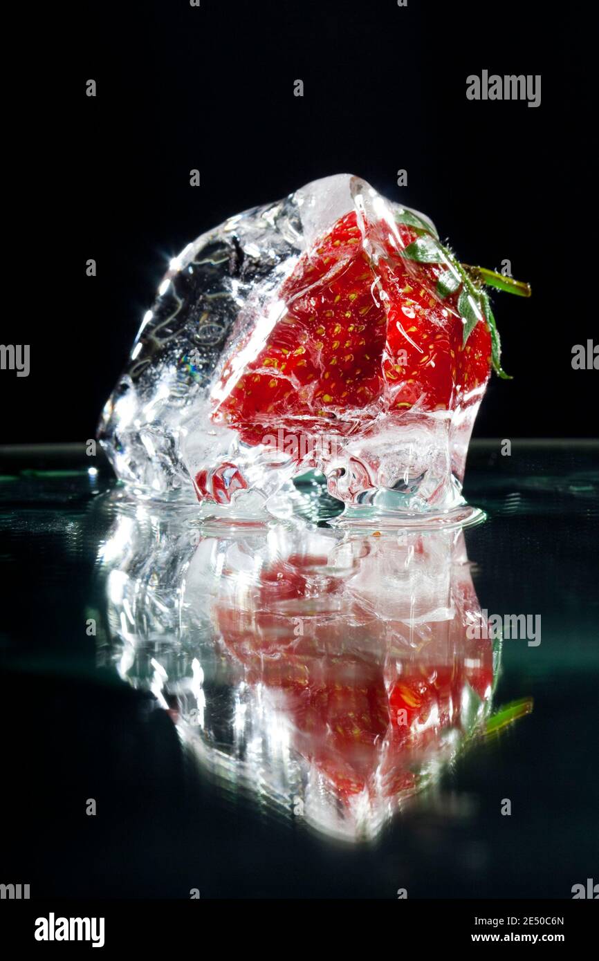 macro photo of fresh strawberry frozen in ice isolated on black ...