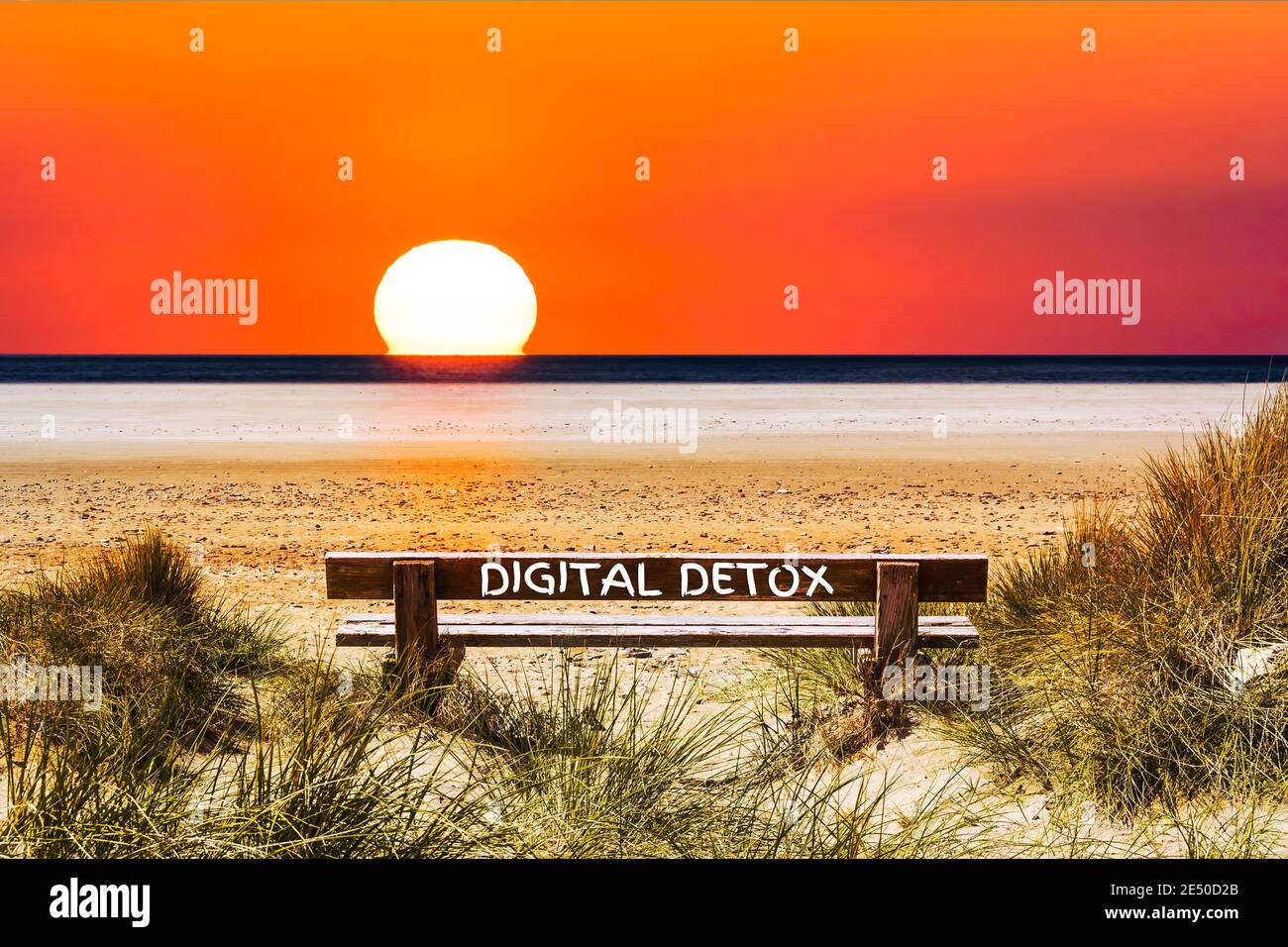 The Words Digital Detox written on a Bench with View of the Sunset at the Ocean Stock Photo