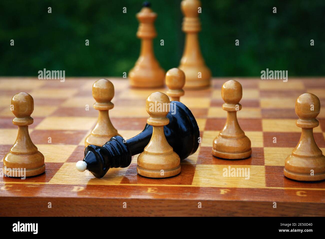 2+ Hundred Chess Confrontation Focus Queen Royalty-Free Images, Stock  Photos & Pictures