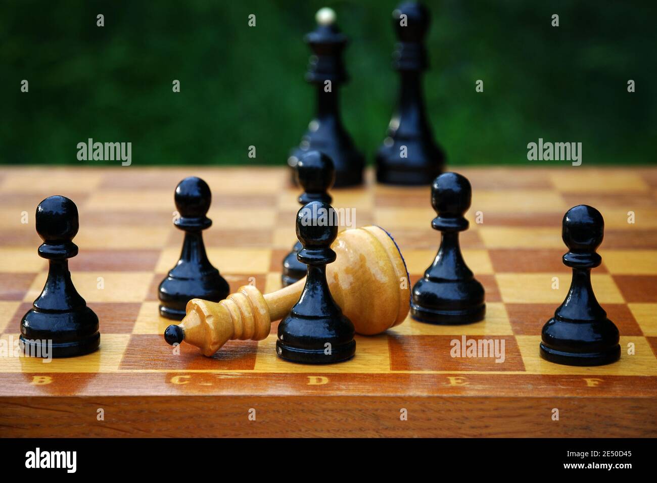 Queen checkmate on king over white Stock Photo by ©razihusin 30242235