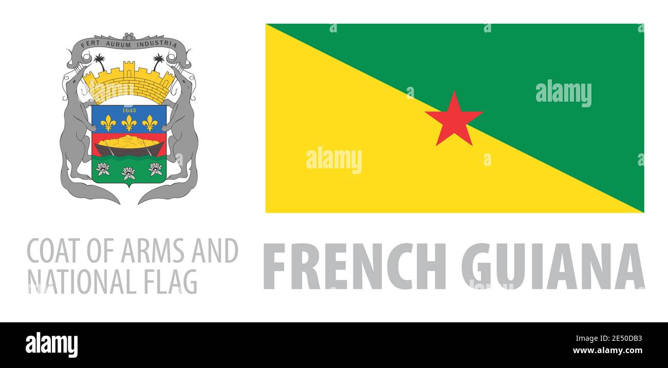 Vector set of the coat of arms and national flag of French Guiana Stock Vector