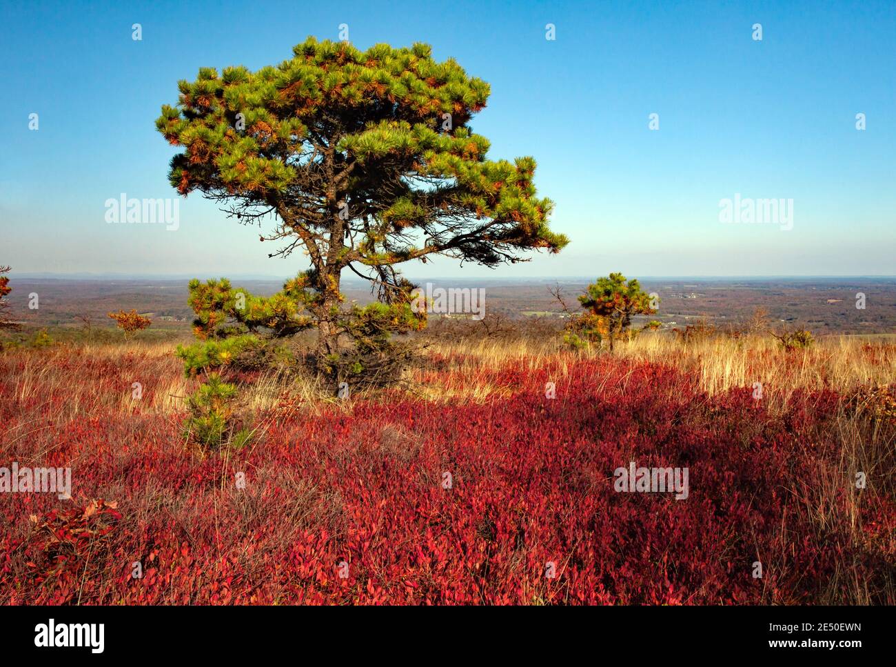 Moosic Mountain in Lackawanna County, Pennsylvania 15,000