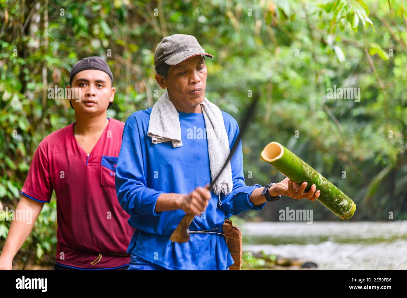 Iban man cutting fresh bamboo in shallow water with a machete Stock