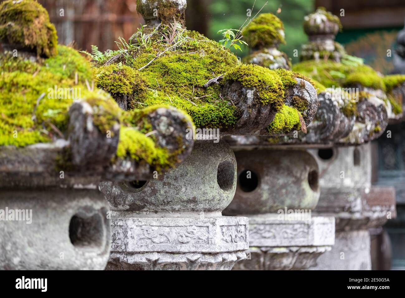 Close up of a row of weathered and moss-covered japanese stone votive lanterns, against a bokeh background Stock Photo
