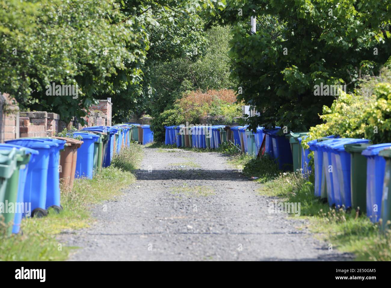 Long line of different coloured wheelie bins in lane at back of house