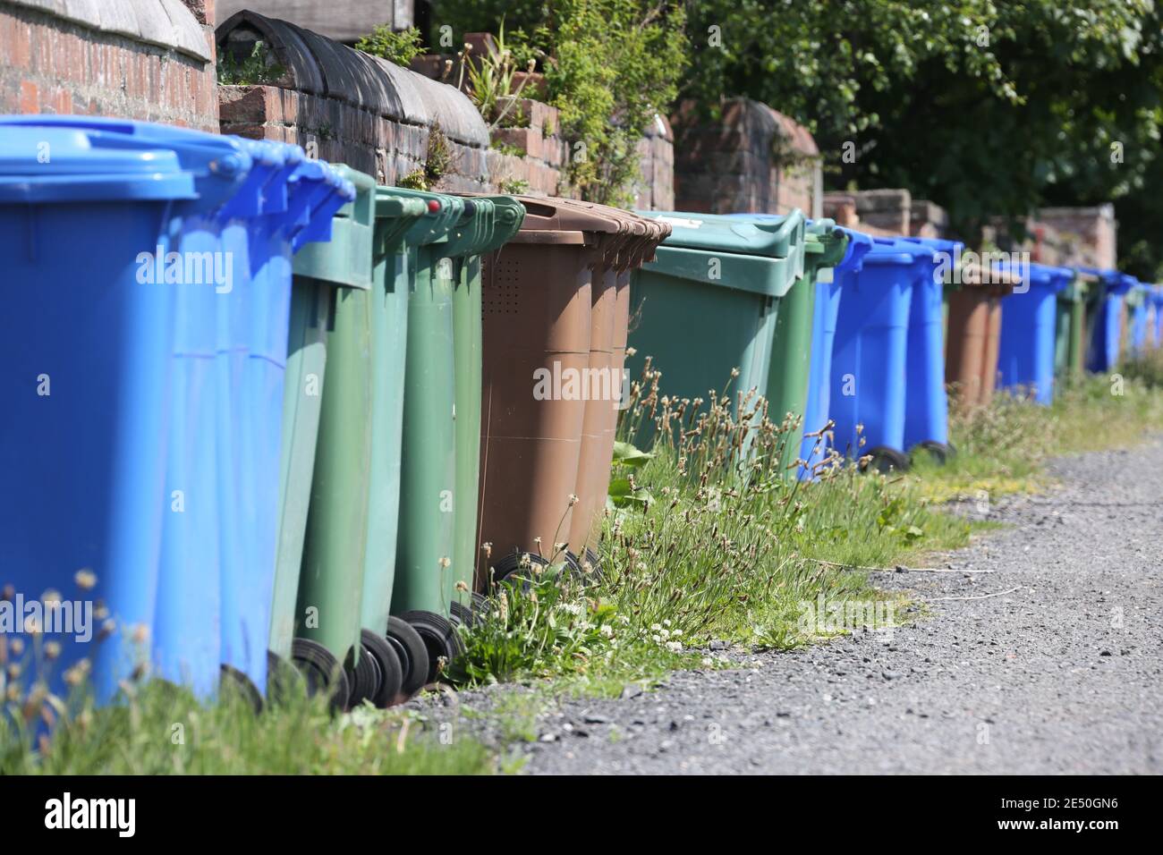 Long line of different coloured wheelie bins in lane at back of house in Troon, South Ayrshire