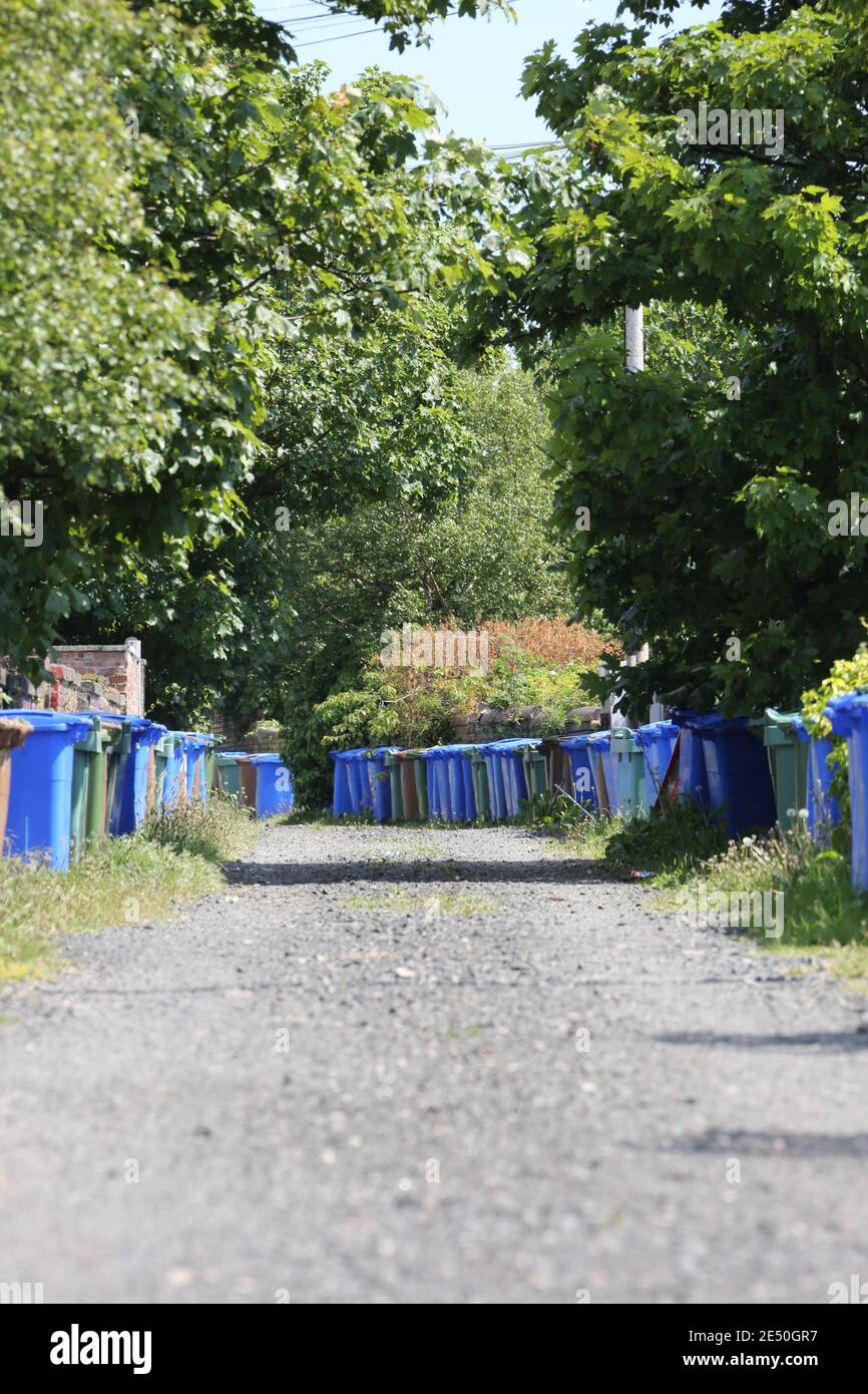Long line of different coloured wheelie bins in lane at back of house