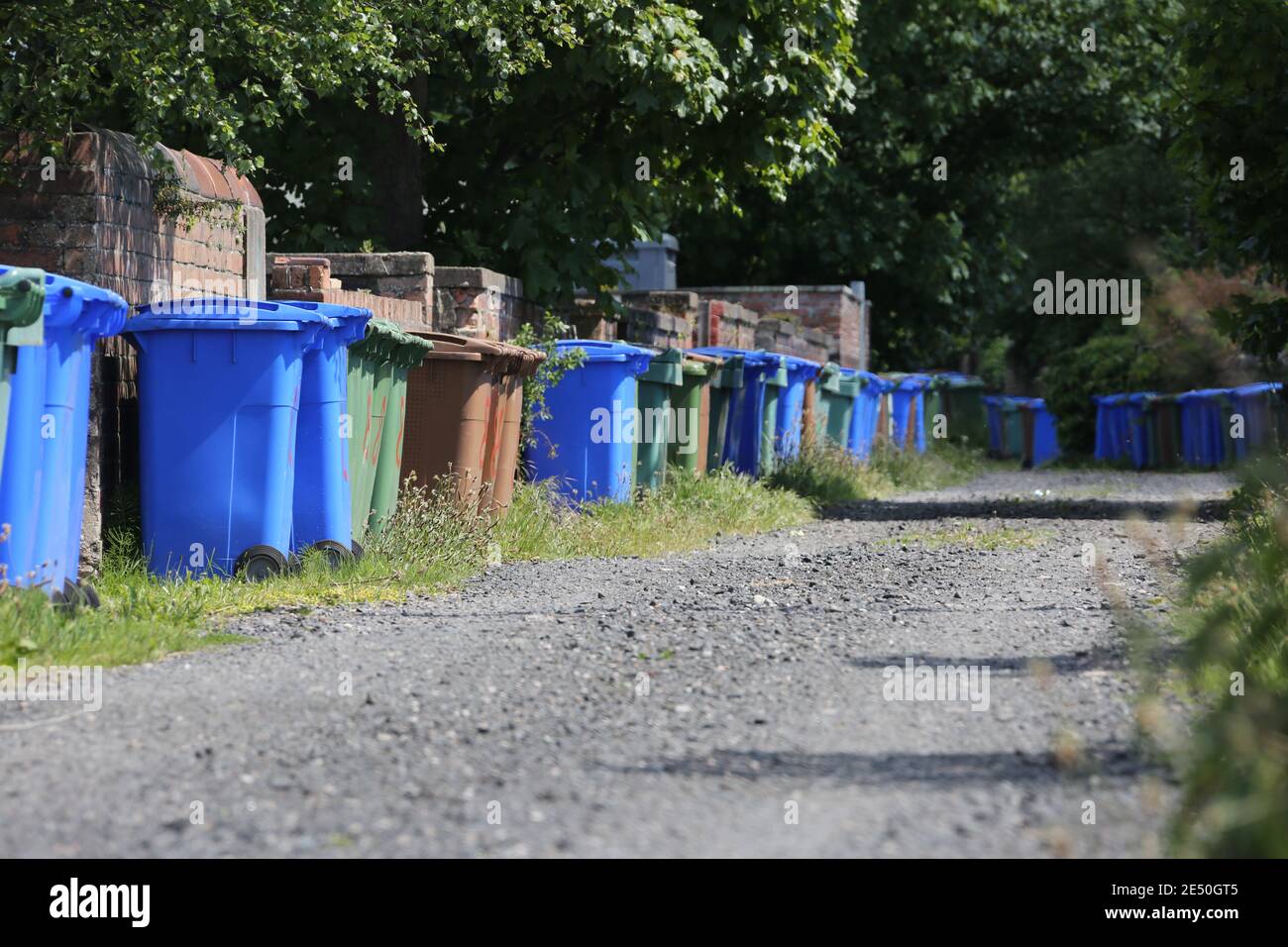 Long line of different coloured wheelie bins in lane at back of house in Troon, South Ayrshire