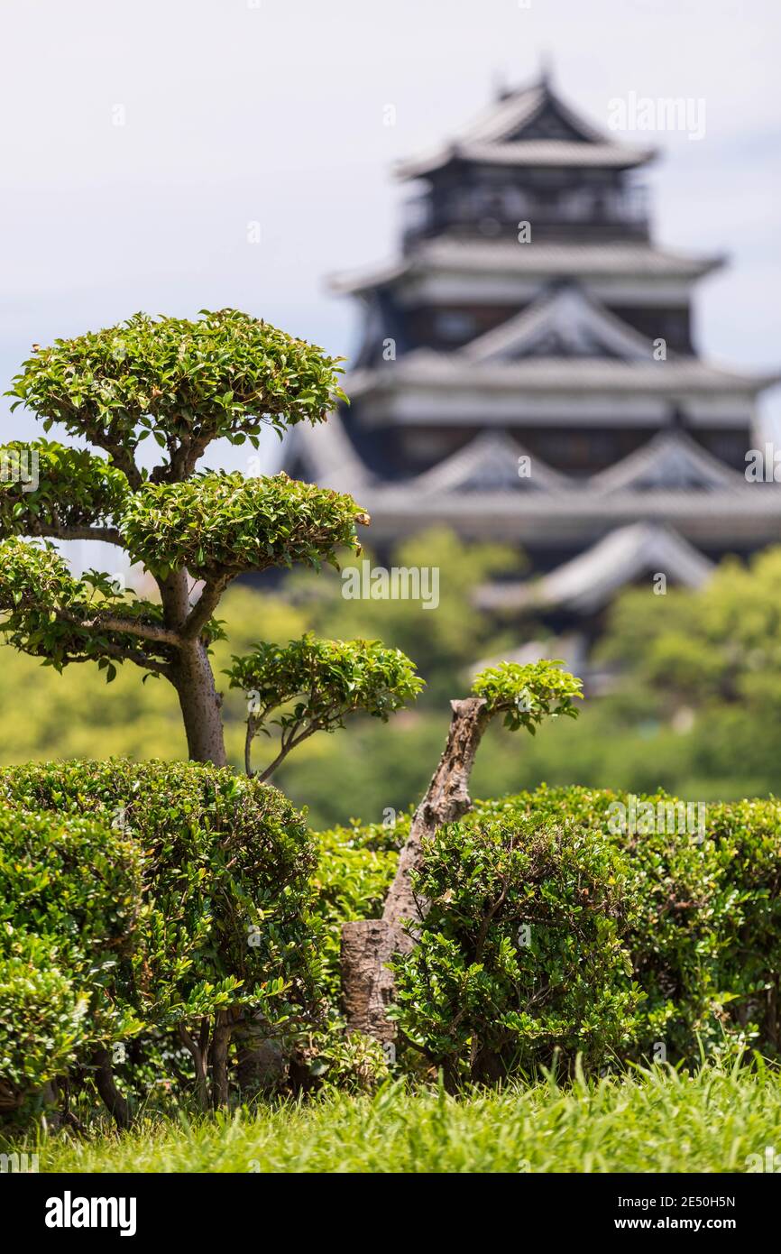 Close up of a green japanese bonsai tree, with an out of focus ancient pagoda in the background Stock Photo