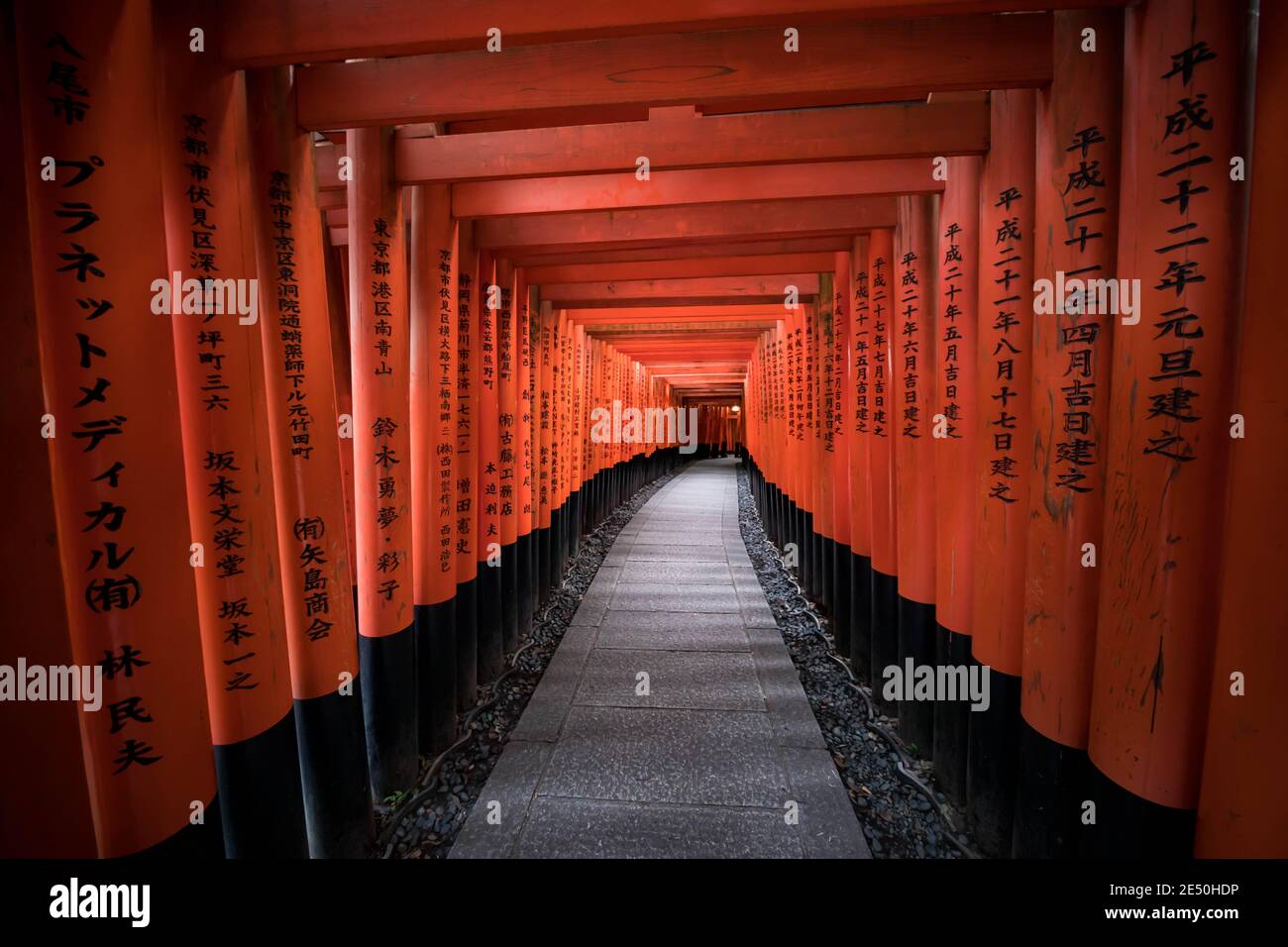 Interior of a votive tunnel made of a number of red wooden torii engraved with black kanji prayers Stock Photo