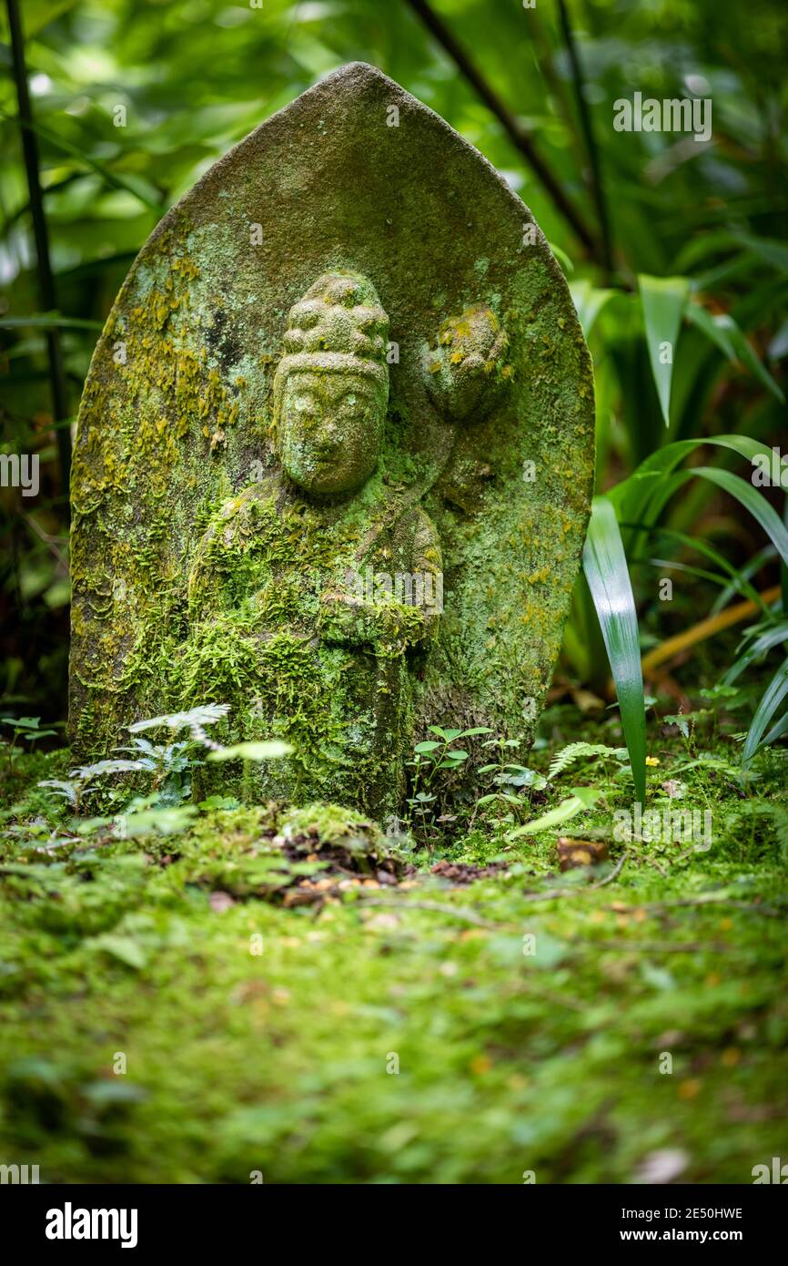 Close up of a low, ancient and slanting japanese tombstone covered with moss, lying among green vegetation and engraved with the basrelief of a buddha Stock Photo
