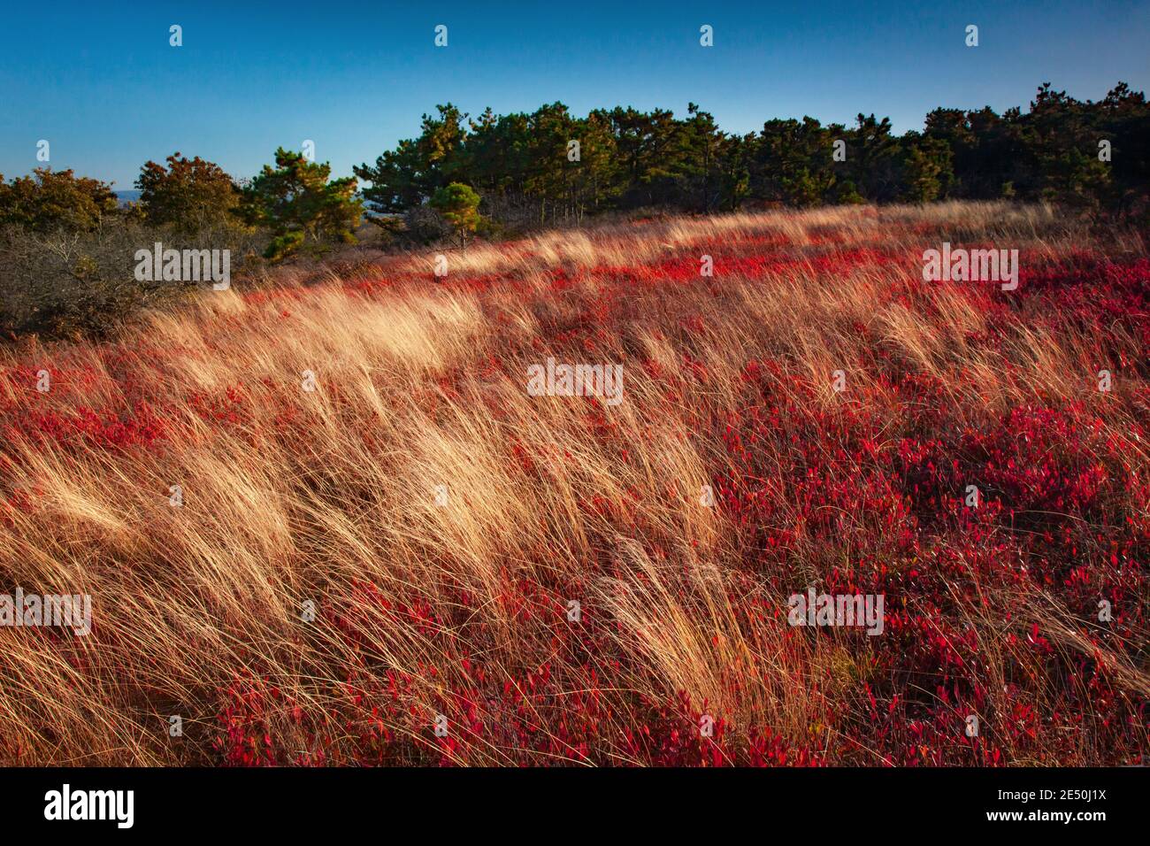 Moosic Mountain in Lackawanna County, Pennsylvania 15,000