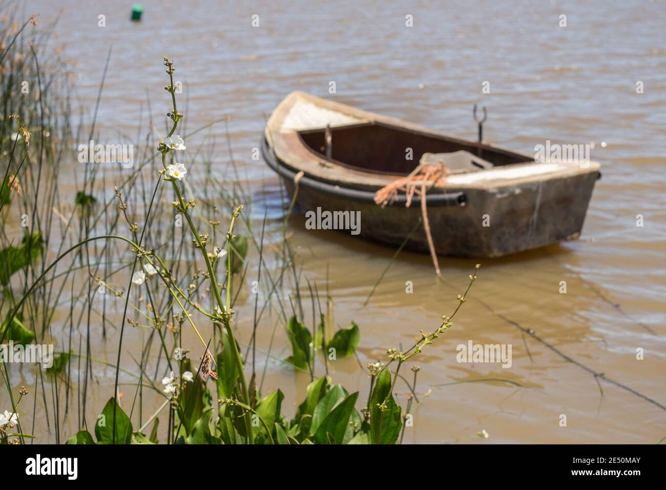 Leisure boating hi-res stock photography and images - Alamy
