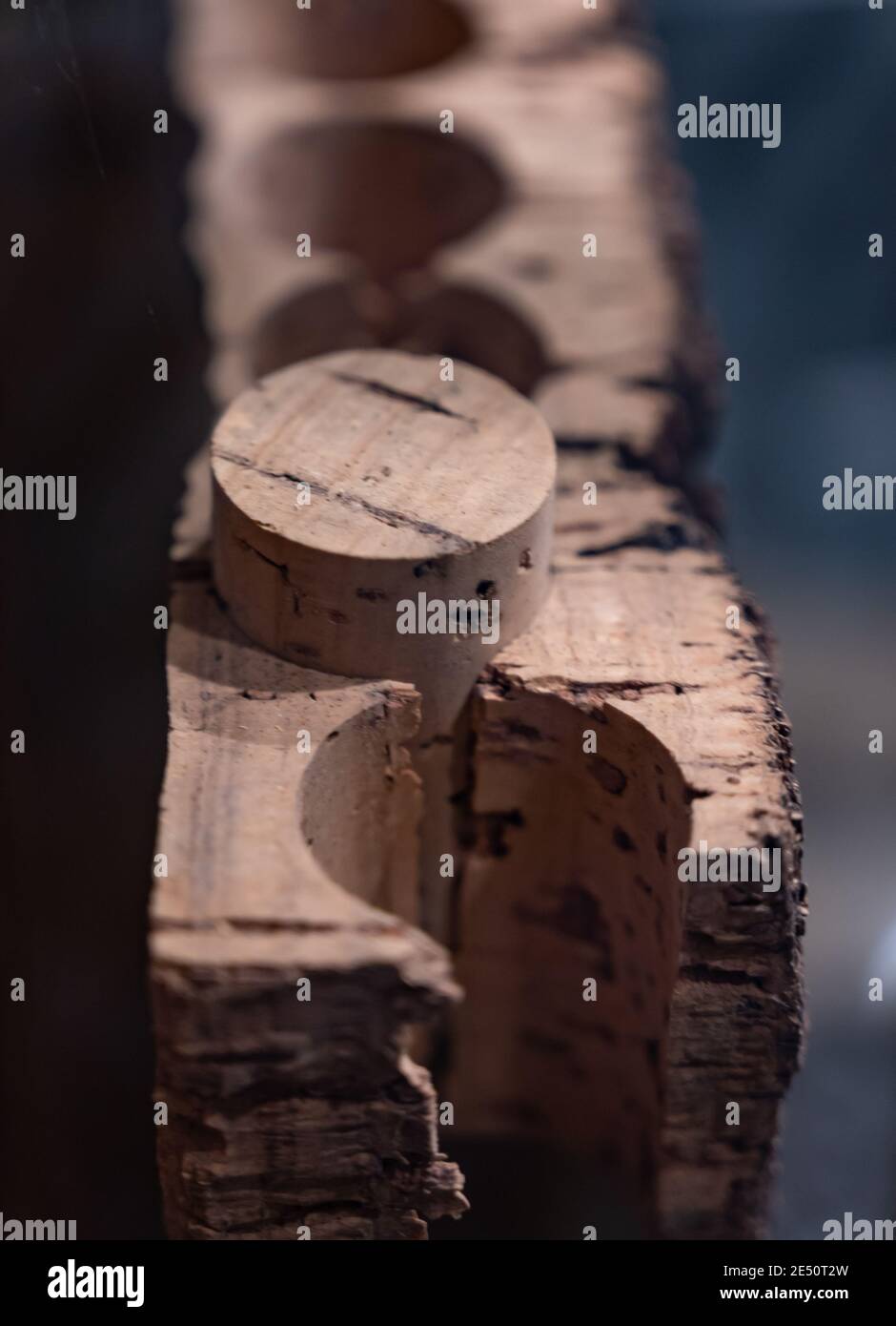 Traditional way of making cork stoppers for wine bottles from cork oak