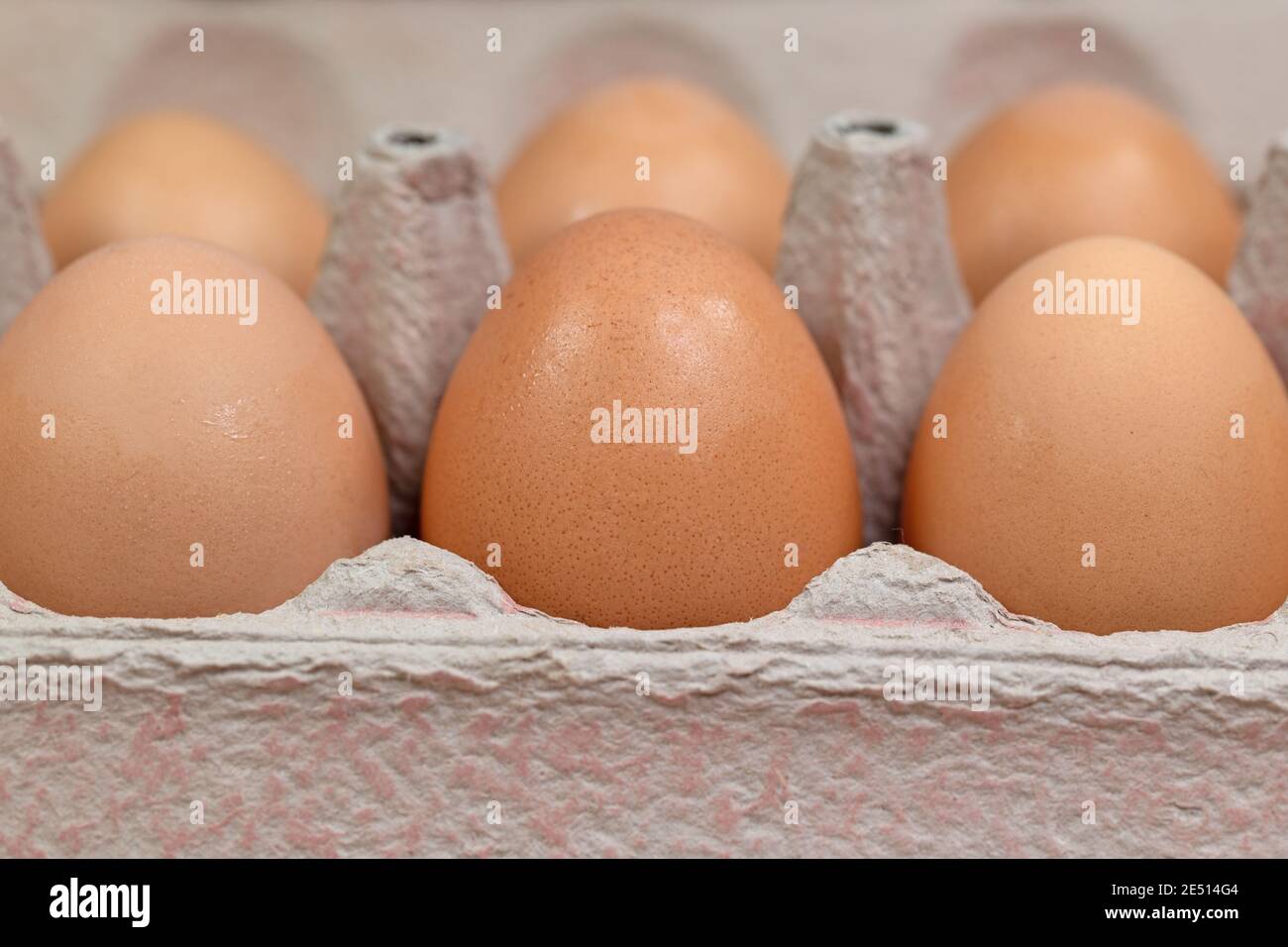 Brown chicken eggs in the package Stock Photo