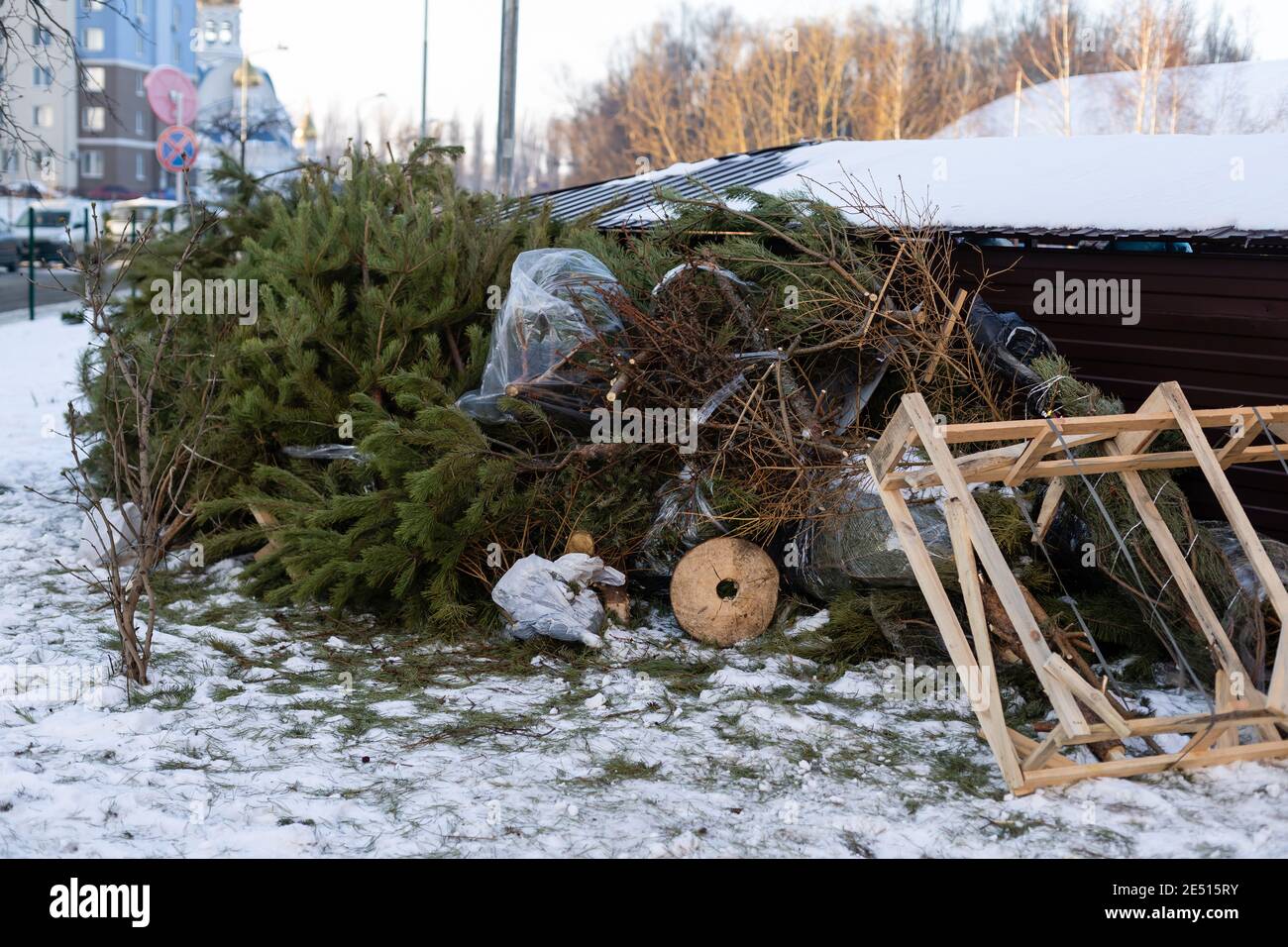 Christmas tree on the trash after the celebration of the new year. Used