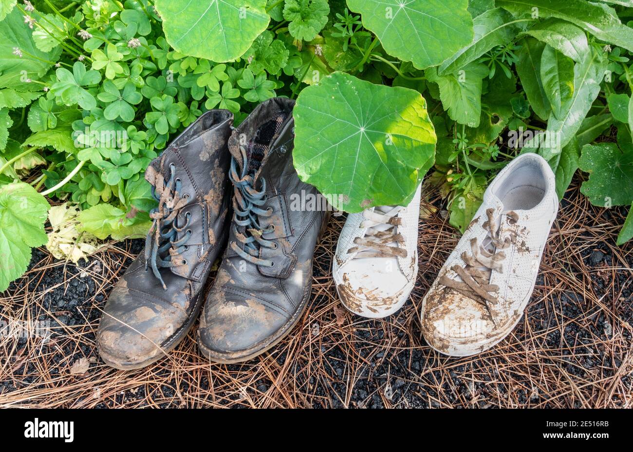 Muddy gardening boots and shoes on garden path Stock Photo Alamy