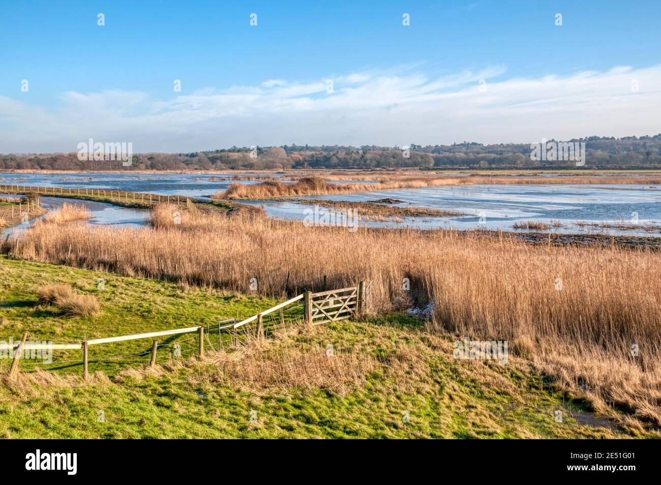 Ice on the flooded freshwater marshes of the Ken Hill Estate behind the shore of the Wash at Snettisham, Norfolk. Stock Photo