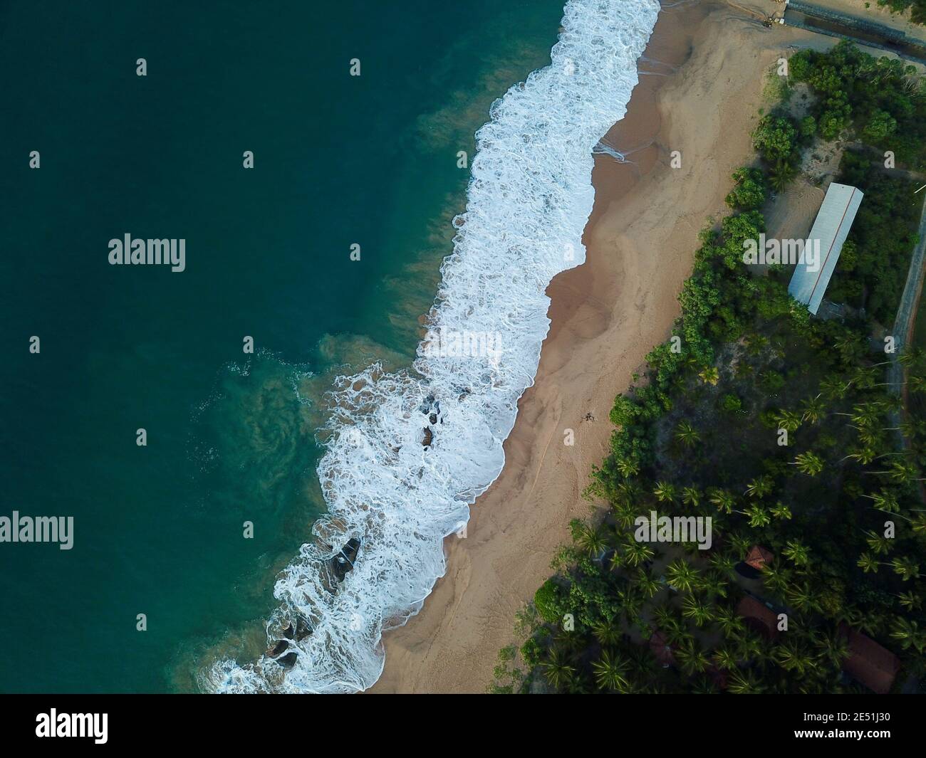 Drone aerial shot of Sri beach in Sri Lanka with waves crashing on sand with trees Stock Photo