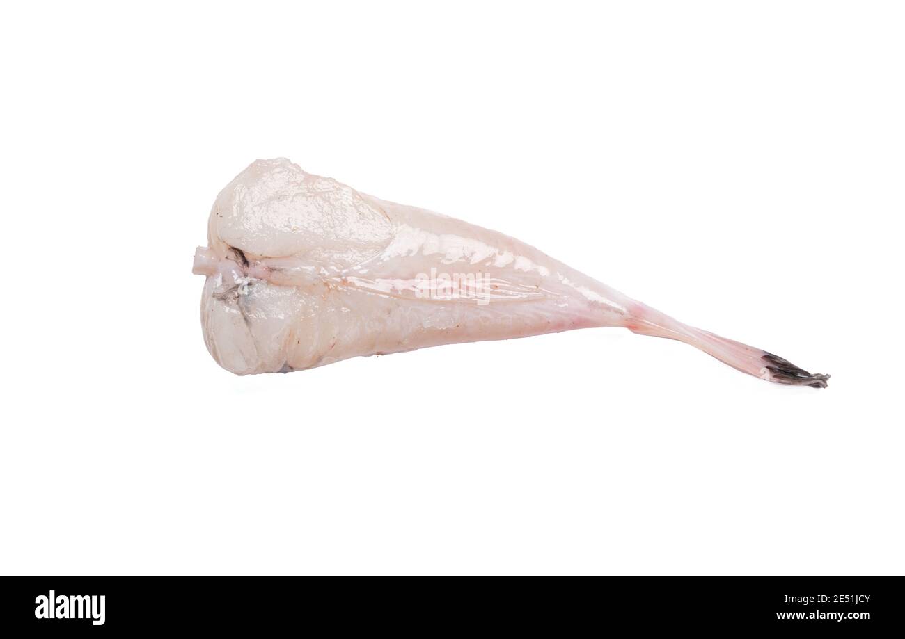 Fresh fish, monkfish tail on white background Stock Photo