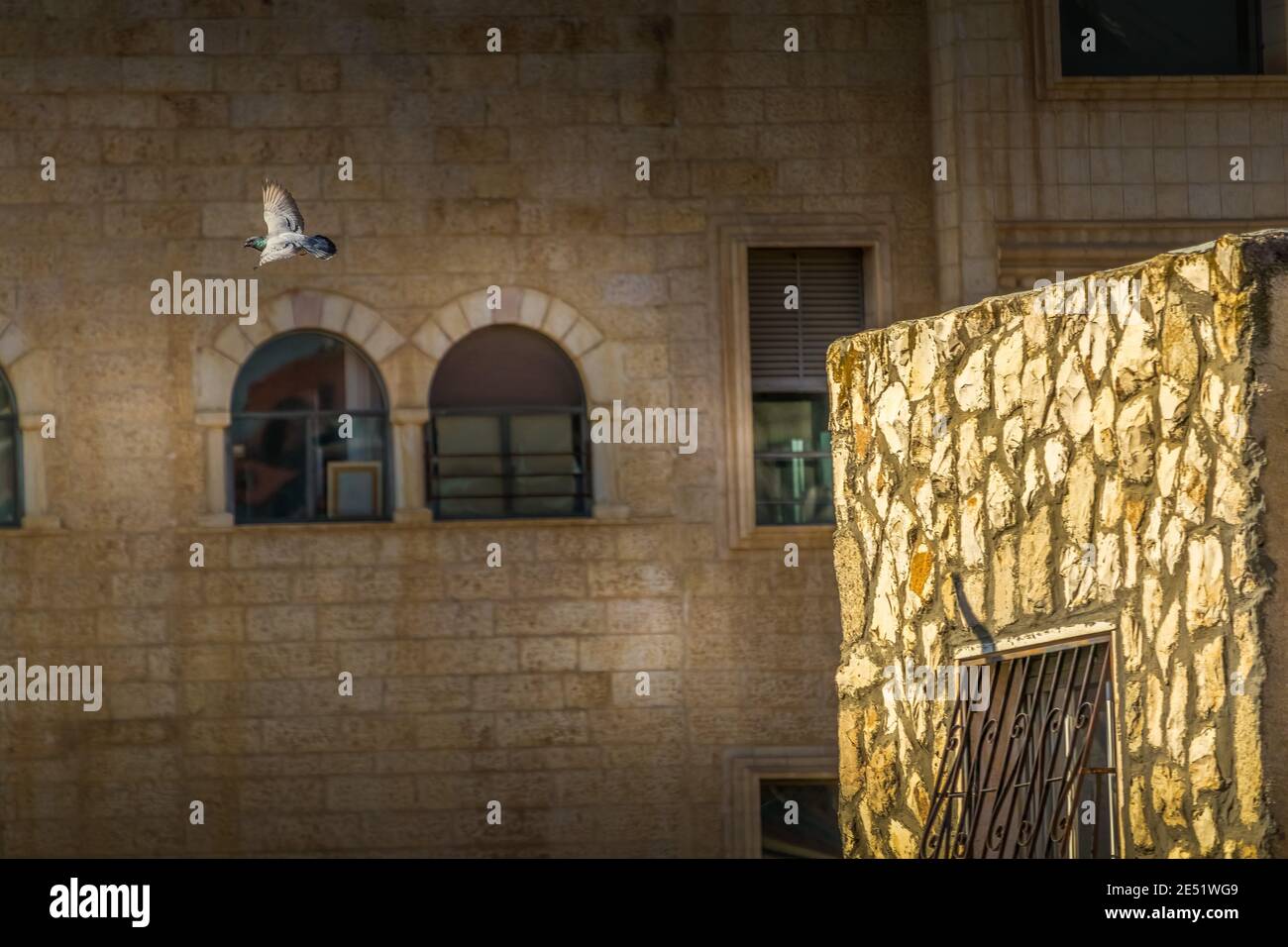 A Bird Flyin With A Background of A stone building that has a clock at the top of a brick wall Stock Photo