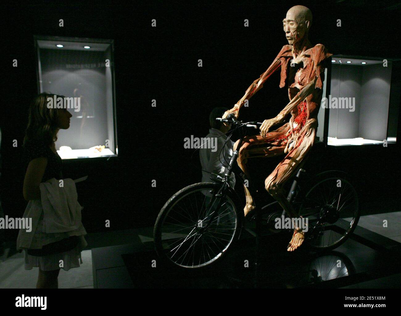 'Our Body exhibition in Lyon, France on May 29, 2008. Consisting of actual human bodies and organs this exhibit literally goes ''under the skin'', revealing the mysteries of the human anatomy. The bodies, specimens and organs have been preserved using a process known as polymer impregnation. Photos by Vincent Dargent/ABACAPRESS.COM' Stock Photo