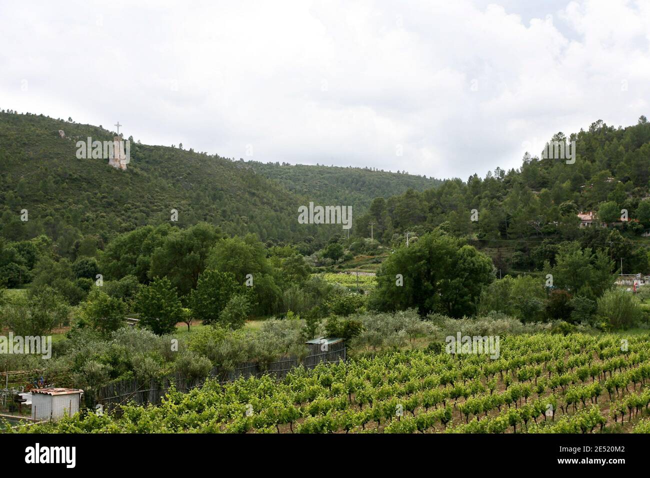 Illustration of Correns in southern France, where Brad Pitt and