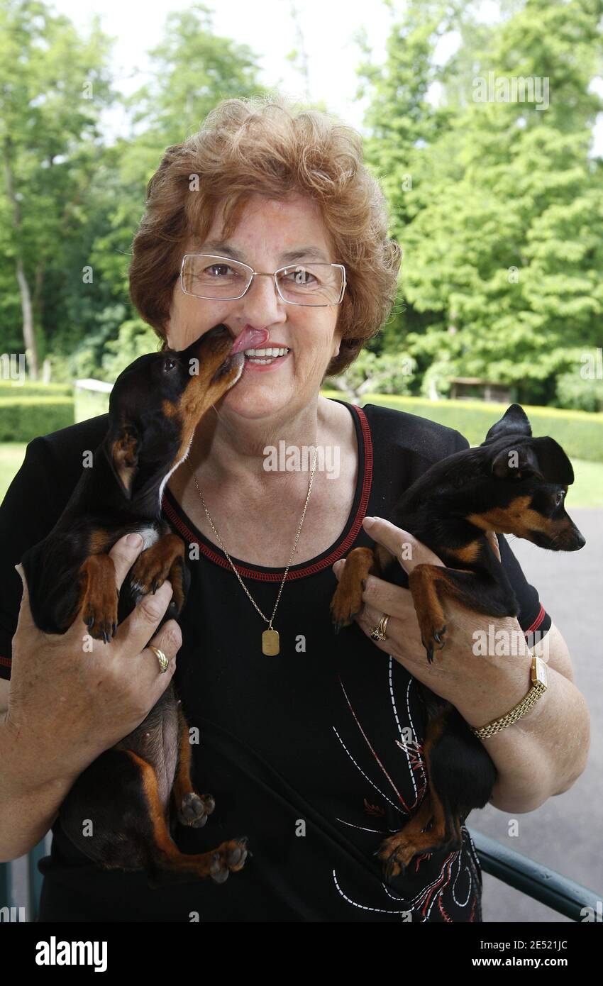 Page 3 Petit Chien High Resolution Stock Photography And Images Alamy