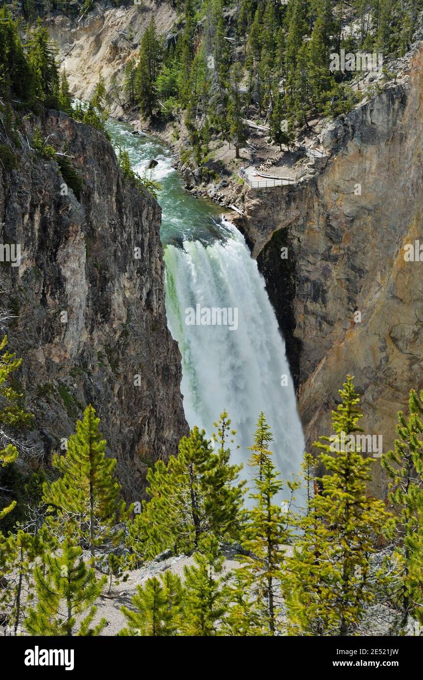 Lower falls of the Yellowstone river from Uncle Tom's Trail, Yellowstone National Park, USA  40705 1066 Stock Photo