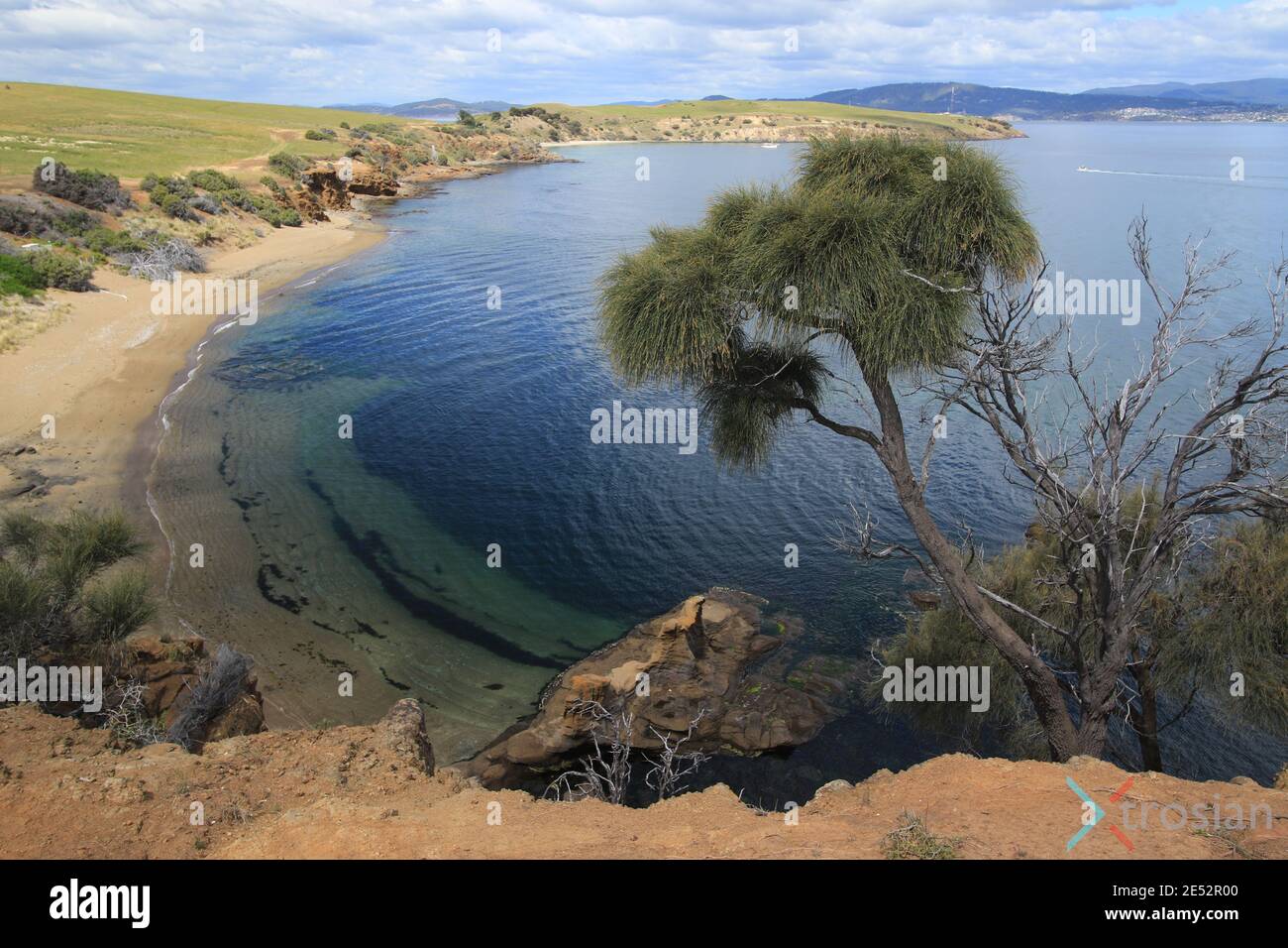 Opossum bay beach hires stock photography and images Alamy