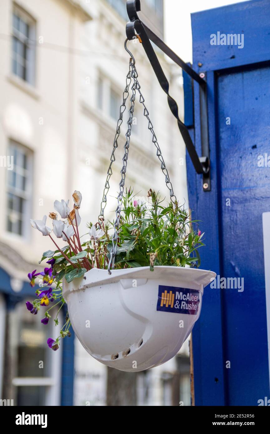 Hanging basket flowers hi-res stock photography and images - Alamy