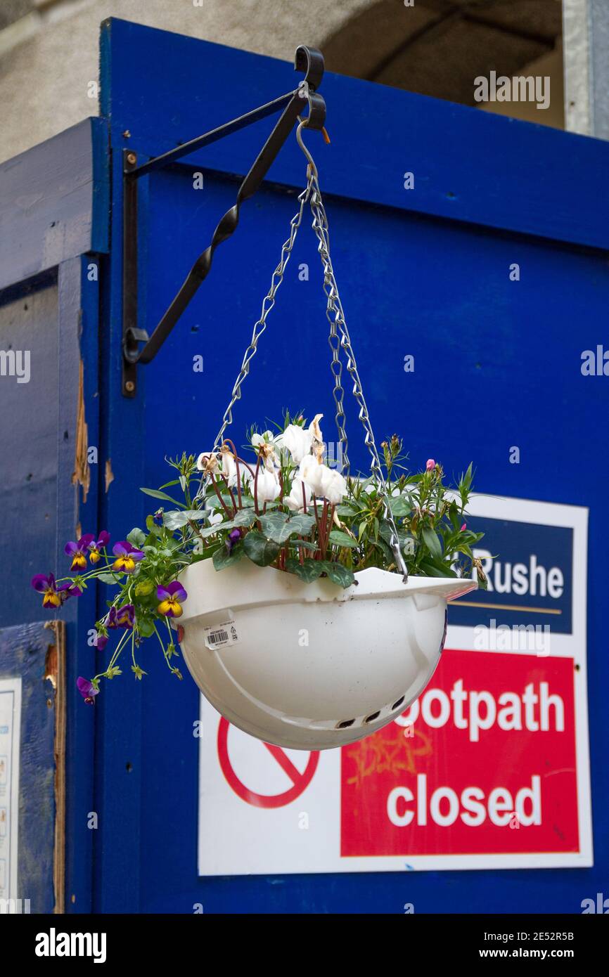 builders safety hard hat hanging basket flowers Stock Photo Alamy