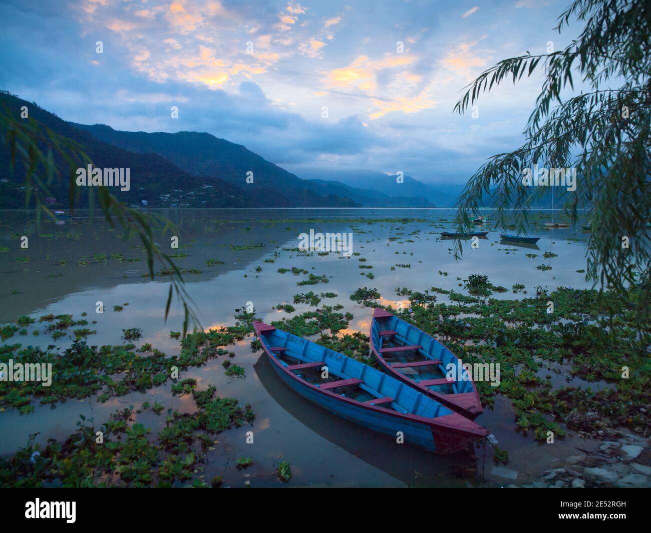 Empty boats on Phewa Lake at sunset during monsoon season, Pokhara ...