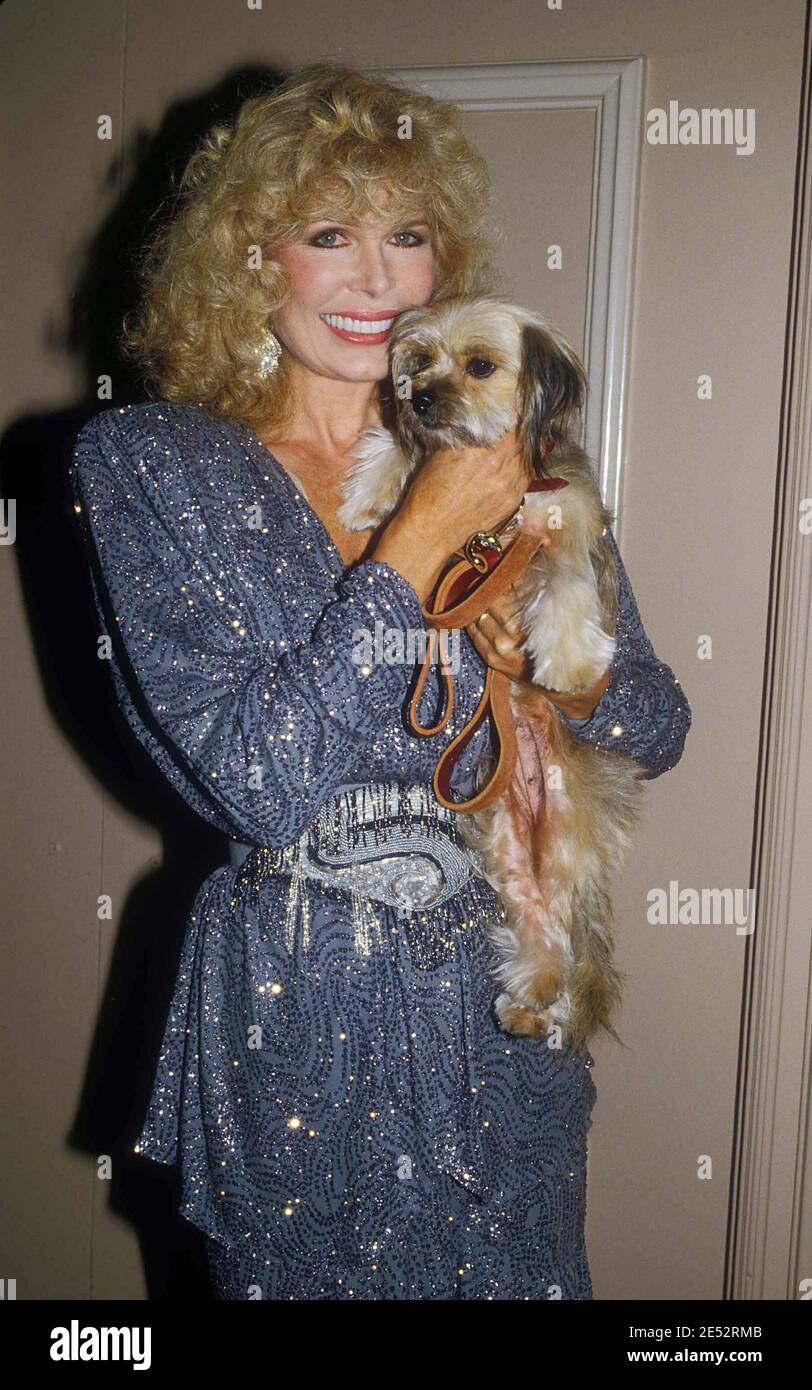 Loretta Swit Credit Ralph Dominguez Mediapunch Stock Photo Alamy