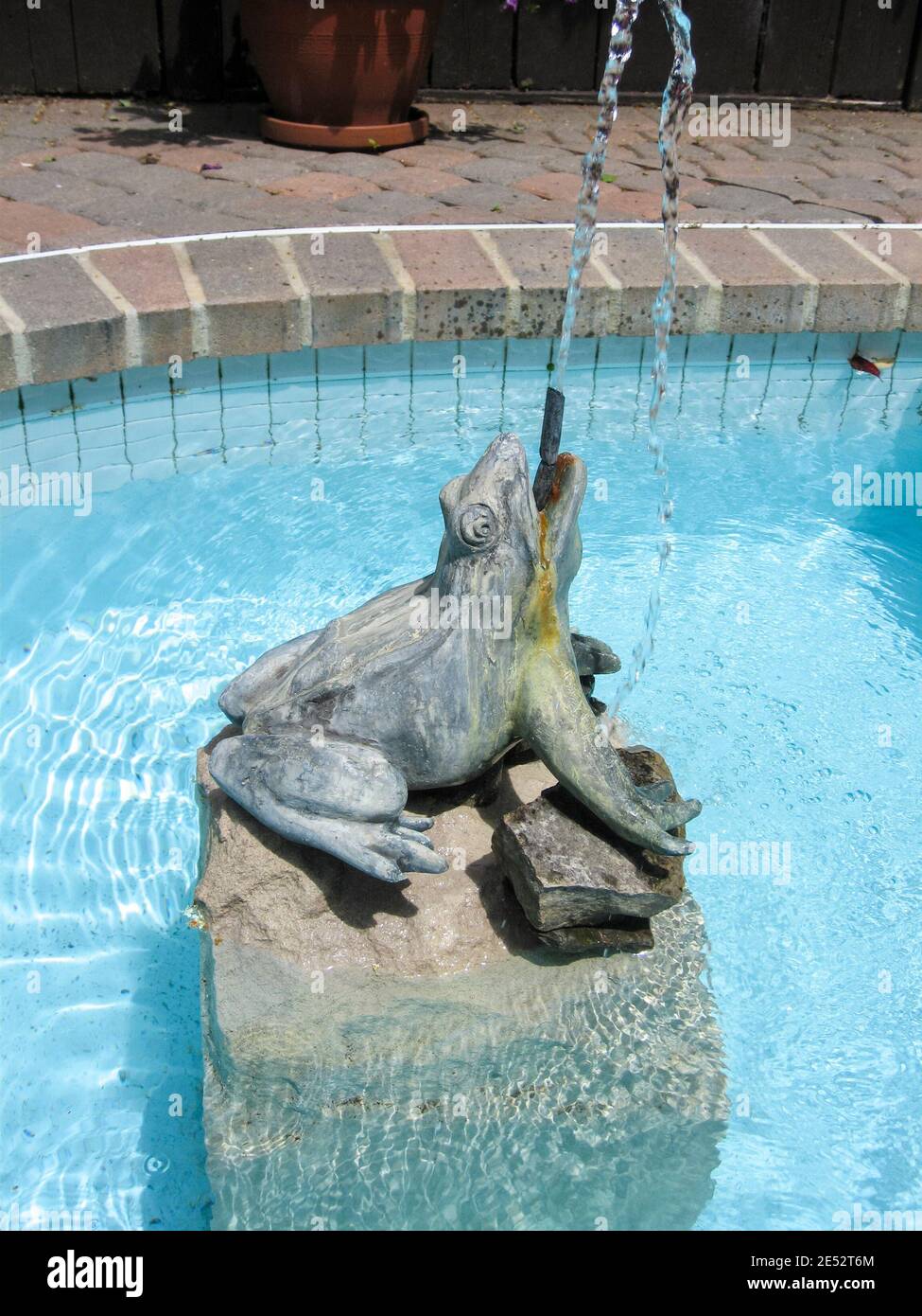 A swimming pool feature in the shape of a frog  spouting water. Stock Photo