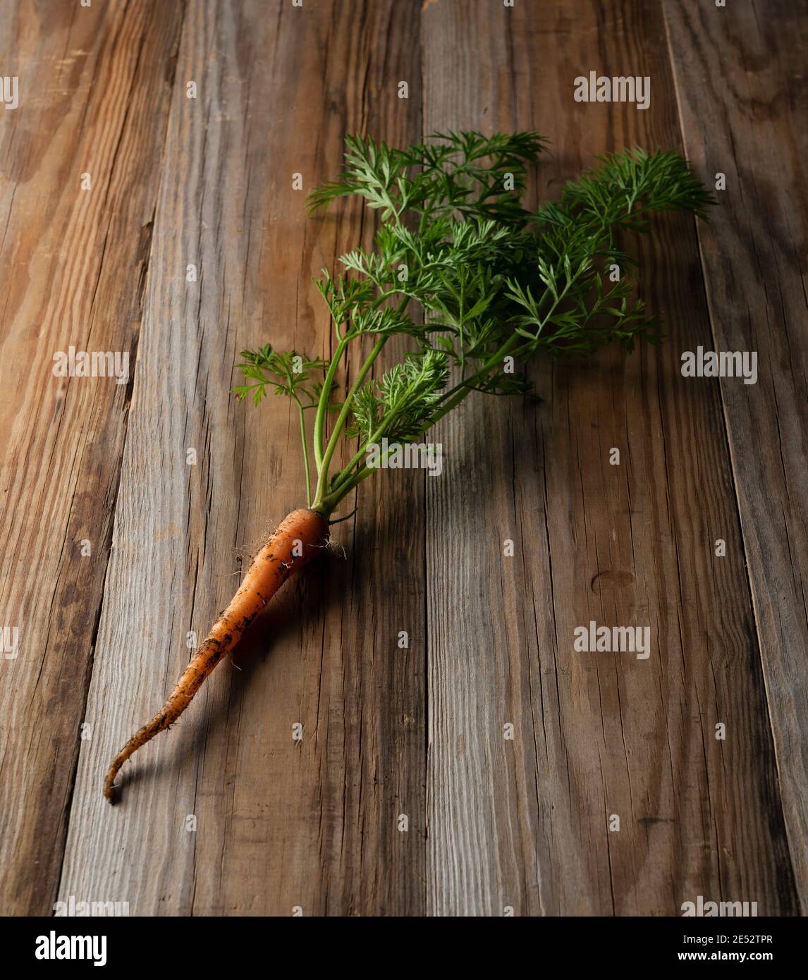 Freshly picked carrots placed in the wooden background Stock Photo