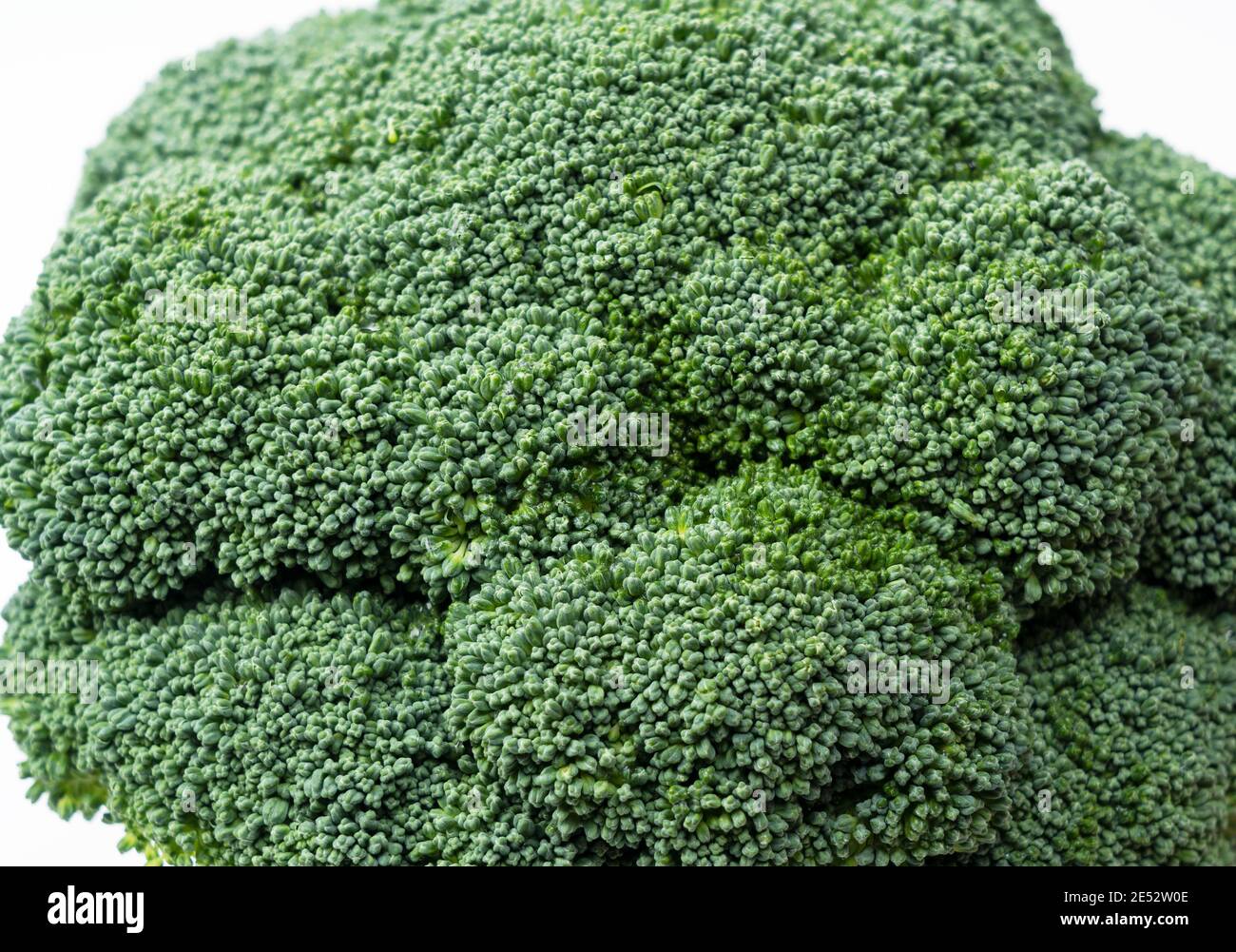 Natural background broccoli close hi-res stock photography and images ...