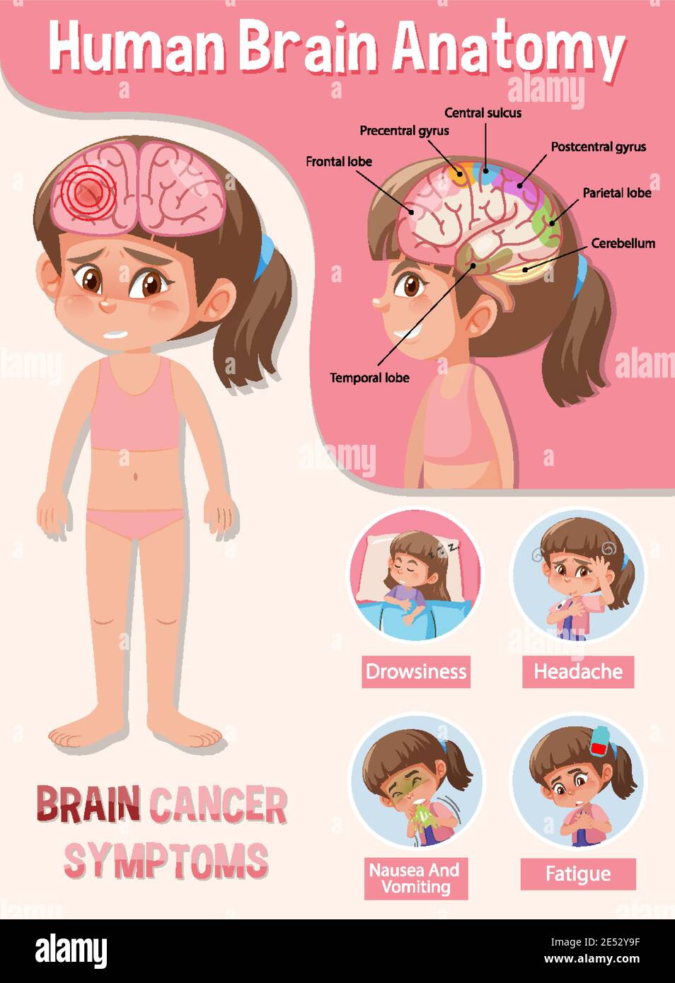 Information poster of human brain diagram illustration Stock Vector ...