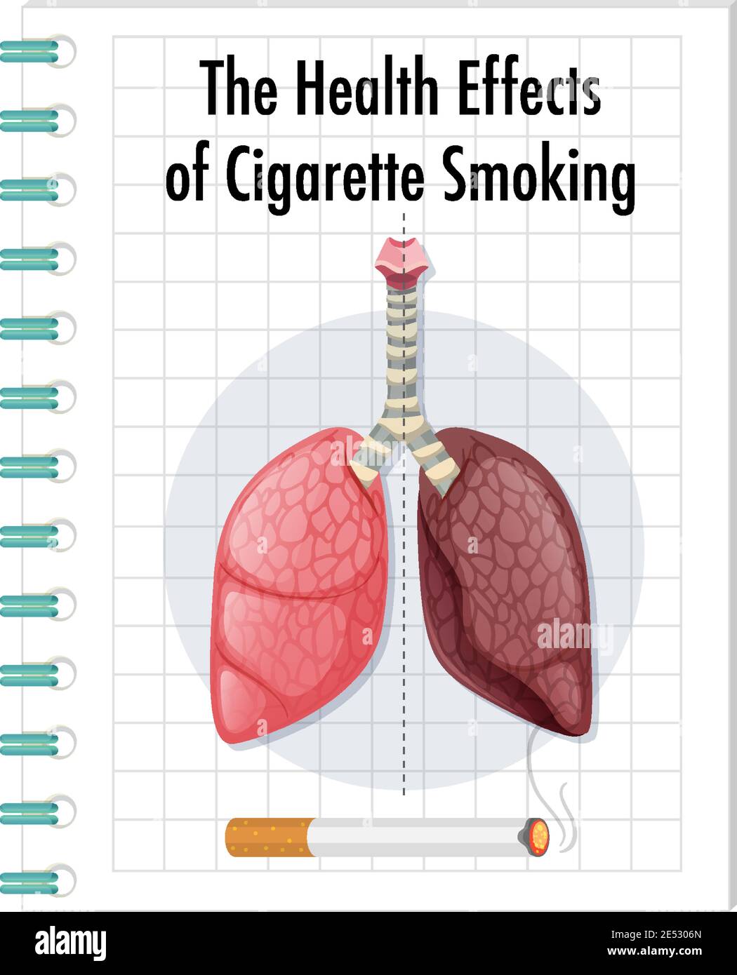 how many cigarettes can i bring back from spain Explained: Why tobacco companies in Spain are being forced to pay for  cleaning up cigarette butts – Firstpost