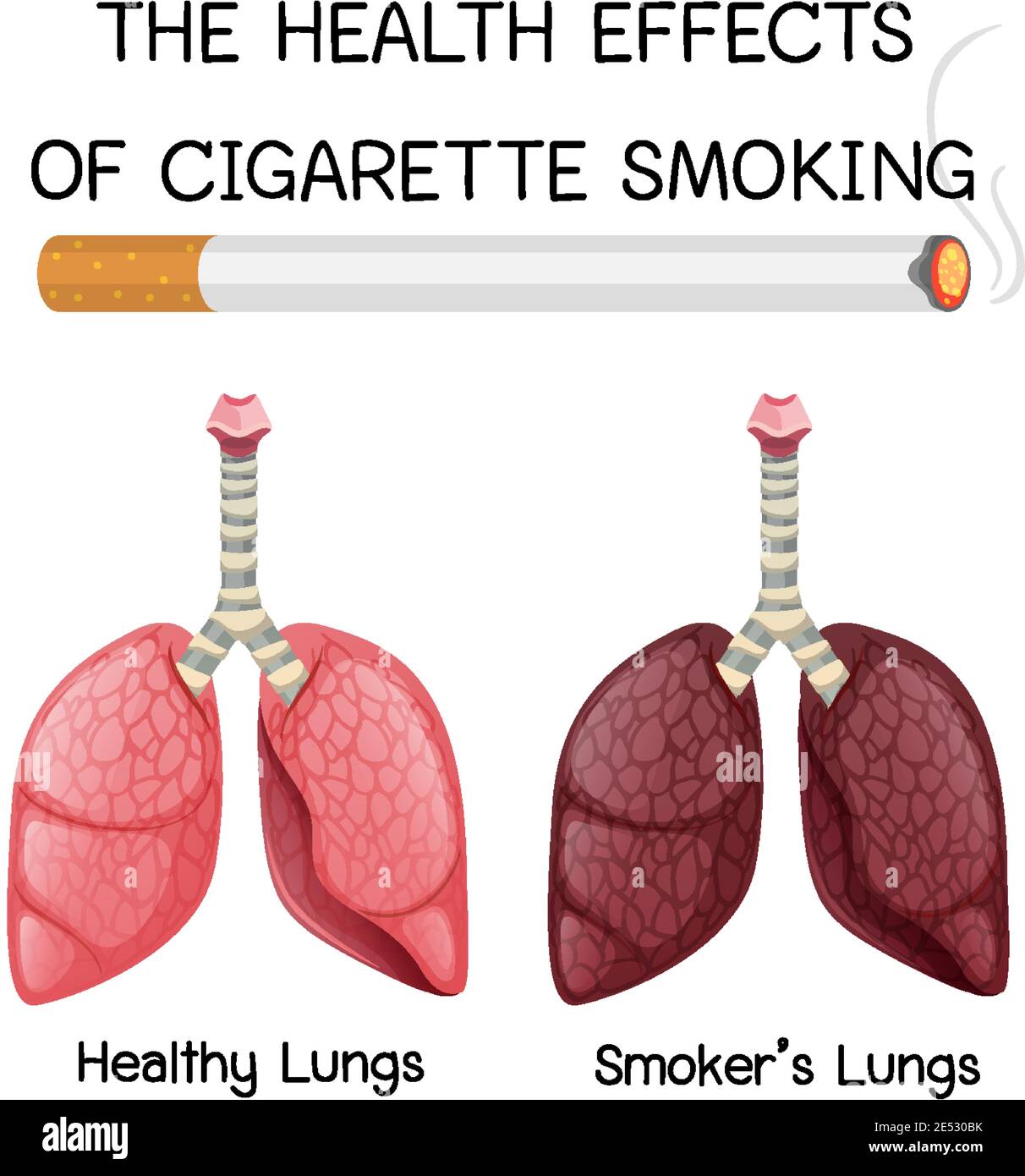 smoking cigarettes effects